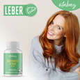 Sie sehen eine Packung Vitabay Mariendistel Extrakt 500 mg Kapseln, Produktbild: 02 Vitabay Mariendistel Extrakt 500 mg Kapseln, A-Nr.: 5878730 - 02