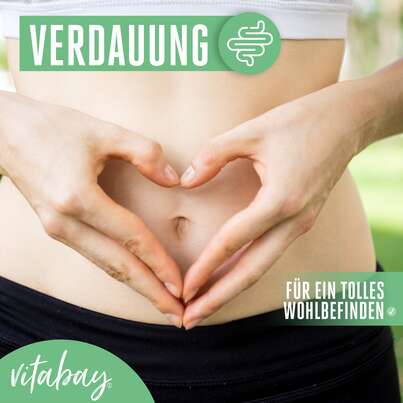 Sie sehen eine Packung Vitabay Mariendistel Extrakt 500 mg Kapseln, Produktbild: 03 Vitabay Mariendistel Extrakt 500 mg Kapseln, A-Nr.: 5878730 - 03