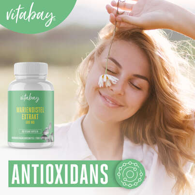 Sie sehen eine Packung Vitabay Mariendistel Extrakt 500 mg Kapseln, Produktbild: 04 Vitabay Mariendistel Extrakt 500 mg Kapseln, A-Nr.: 5878730 - 04