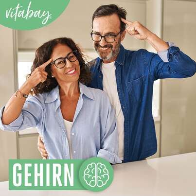 Sie sehen eine Packung Vitabay Mariendistel Extrakt 500 mg Kapseln, Produktbild: 05 Vitabay Mariendistel Extrakt 500 mg Kapseln, A-Nr.: 5878730 - 05