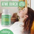 Sie sehen eine Packung Vitabay Ägyptisches Schwarzkümmelöl 500 mg Weichkapseln, Produktbild: 02 Vitabay Ägyptisches Schwarzkümmelöl 500 mg Weichkapseln, A-Nr.: 5878718 - 02