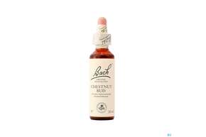 07 Chestnut Bud20 ml, A-Nr.: 4088517 - 01