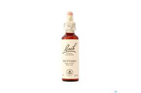 21 Mustard20 ml, A-Nr.: 4088871 - 01
