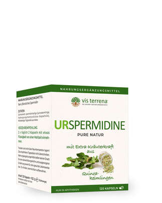 Sie sehen eine Packung vis terrena® URSPERMIDINE Kapseln, Produktbild: 01 vis terrena® URSPERMIDINE Kapseln, A-Nr.: 5226619 - 01