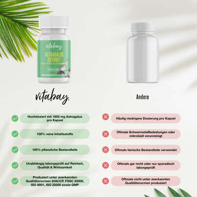 Sie sehen eine Packung Vitabay Astragalus Extrakt 1600 mg Kapseln, Produktbild: 02 Vitabay Astragalus Extrakt 1600 mg Kapseln, A-Nr.: 5878380 - 02