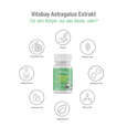 Sie sehen eine Packung Vitabay Astragalus Extrakt 1600 mg Kapseln, Produktbild: 03 Vitabay Astragalus Extrakt 1600 mg Kapseln, A-Nr.: 5878380 - 03