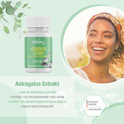 Sie sehen eine Packung Vitabay Astragalus Extrakt 1600 mg Kapseln, Produktbild: 05 Vitabay Astragalus Extrakt 1600 mg Kapseln, A-Nr.: 5878380 - 05