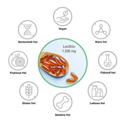 Sie sehen eine Packung Vitabay LECITHIN 1200 mg Weichkapseln, Produktbild: 03 Vitabay LECITHIN 1200 mg Weichkapseln, A-Nr.: 5878316 - 03