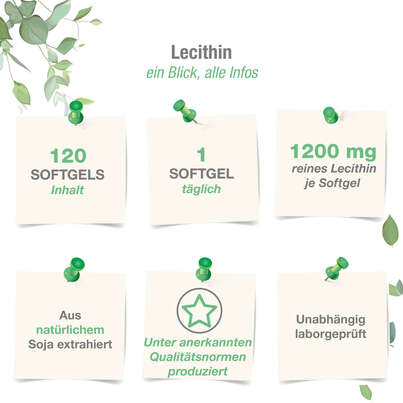 Sie sehen eine Packung Vitabay LECITHIN 1200 mg Weichkapseln, Produktbild: 04 Vitabay LECITHIN 1200 mg Weichkapseln, A-Nr.: 5878316 - 04