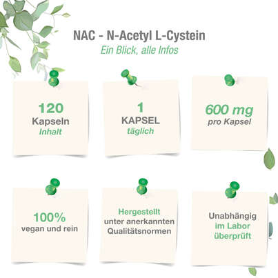 Sie sehen eine Packung Vitabay NAC (N-ACETHYL L-CYSTEIN) 600 mg Kapseln, Produktbild: 04 Vitabay NAC (N-ACETHYL L-CYSTEIN) 600 mg Kapseln, A-Nr.: 5878150 - 04