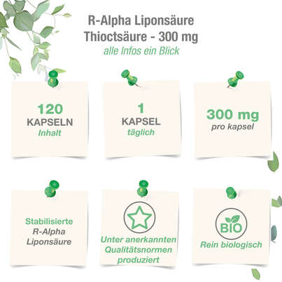 Sie sehen eine Packung Vitabay R-Alpha Liponsäure 300 mg Kapseln, Produktbild: 04 Vitabay R-Alpha Liponsäure 300 mg Kapseln, A-Nr.: 5877699 - 04